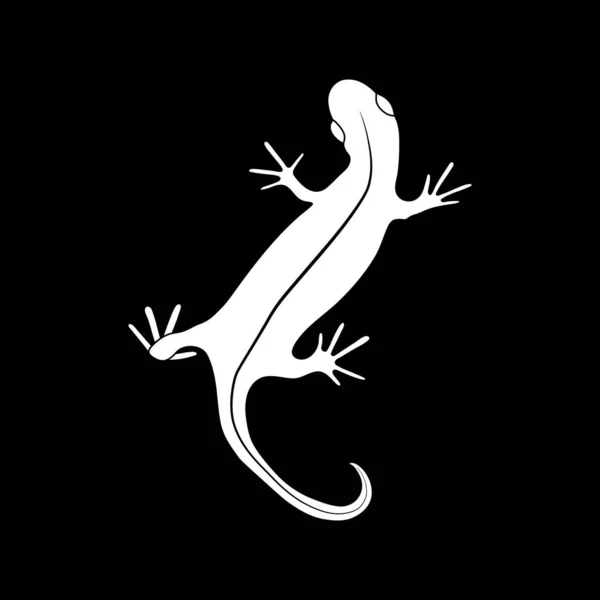Lizard reptile gecko white silhouette vector illustration. Simple white silhouette illustration isolated on black background. Template for prints.