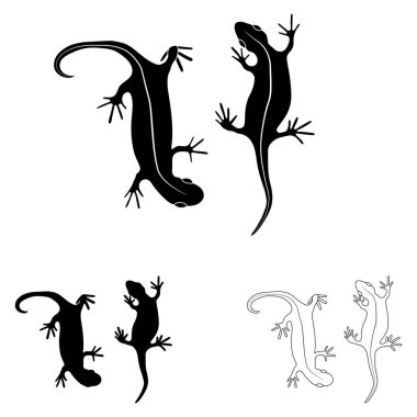 Set of lizards reptile gecko outline and black silhouette vector illustration. Simple line and black silhouette art illustration isolated on white background.