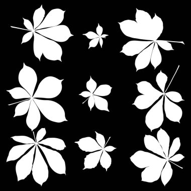 Kestane yaprağı beyaz siluet simgesi seti. Basit kestane rengi logo için çizimler bırakır. Siyah arkaplan üzerine çizilmiş gerçekçi el yaprakları.