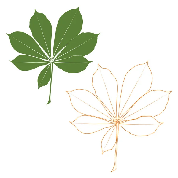 Set Vector Chestnut Leaf Outline Coloured Icon Simple Chestnut Leaves — Vector de stock