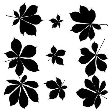 Kestane yaprağı siyah siluet simgesi seti. Basit kestane rengi logo için çizimler bırakır. Gerçekçi el çizimi yapraklar beyaz arkaplanda.