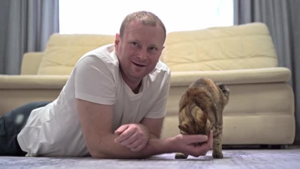 Seorang pria membelai kucing tergeletak di karpet — Stok Video