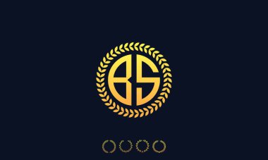 Organizasyon Yuvarlak Harfler BS logosu. Vektör illüstrasyonu