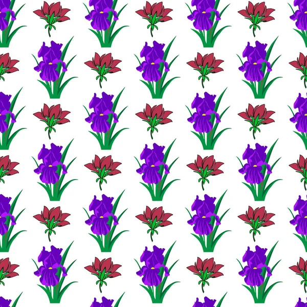 Diseño Patrón Sin Costura Mezcla Flores Crisantemo Iris — Vector de stock