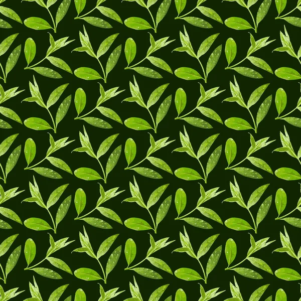 Camellia Leaf Seamless Pattern Design — стоковый вектор