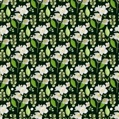 Yasemin Çiçeği, tomurcuk, koyu yeşil desenli yaprak & dalı