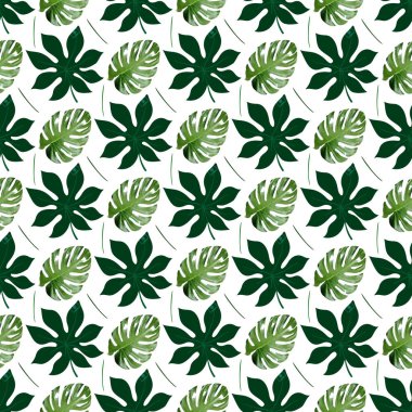 tropical monstera aralia on white background Seamless Pattern Design