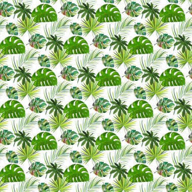tropical monstera aralia on white background Seamless Pattern Design