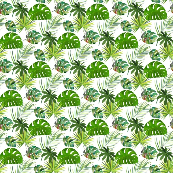 Tropical Monstera Aralia White Background Seamless Pattern Design — 스톡 벡터