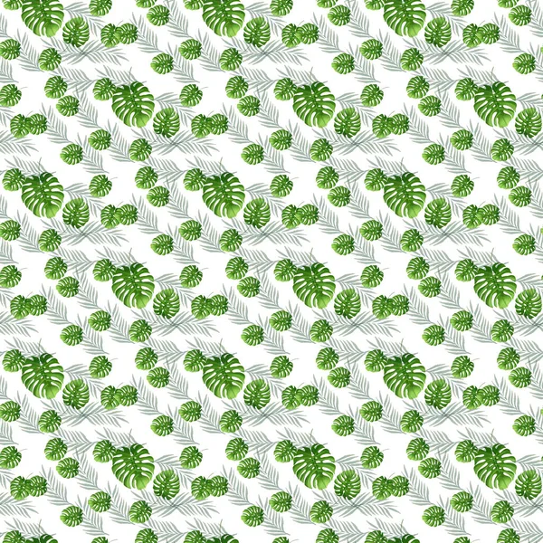 Tropical Monstera Coconut Leaf One White Background Seamless Pattern Design — стоковый вектор