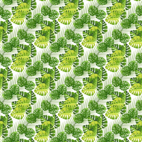 Tropical Monstera Coconut Palm White Background Seamless Pattern Design — 图库矢量图片