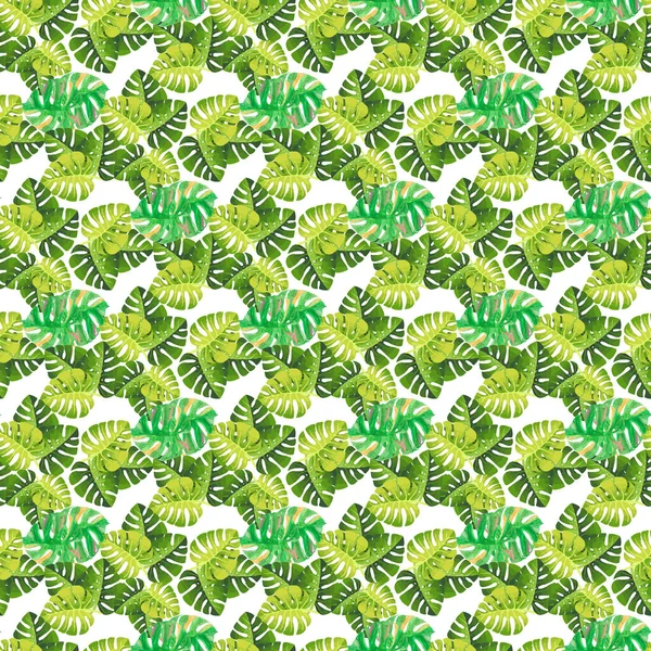 Tropical Monstera White Background Seamless Pattern Design — Stockový vektor