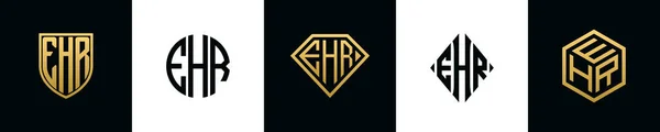 Initial Letters Ehr Logo Designs Bundle Collection Incorporated Shield Diamond — ストックベクタ