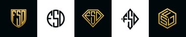 İlk harfler FSD logosu Bundle dizayn eder. Bu koleksiyon kalkan, yuvarlak, elmas, dikdörtgen ve altıgen stil logoyla birleştirilmiştir. Vektör şablonu