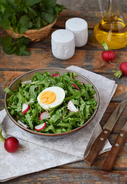 Insalata Vitamina Lattuga Ravanello Cipolle Verdi Uova Condita Con Olio — Foto Stock