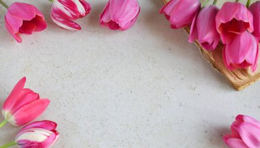 Beautiful pink tulip flowers background for Birthday, Mother's day, Valentine's Day, March 8, Wedding concept greeting card. Floral decorative frame. Festive background. Copy space for text