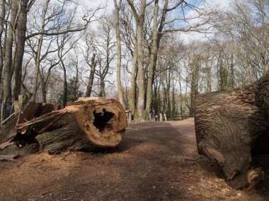 Bir adamın karavan eğlence aracının tepesindeki plastik kanalı kaldırmak için merdivenden çıktığı görülebilir. Çatıdan bakıldığında.