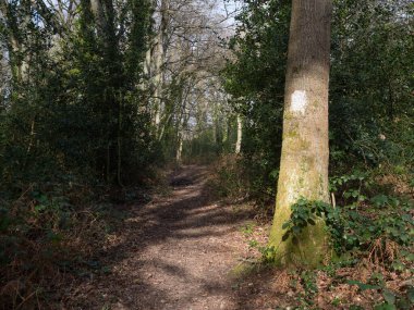 Bir adamın karavan eğlence aracının tepesindeki plastik kanalı kaldırmak için merdivenden çıktığı görülebilir. Çatıdan bakıldığında.