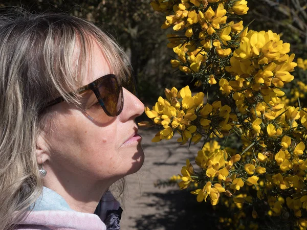 A lady wearing sunglasses smells the scent of gorse bushes with her nose close to the yellow flowers