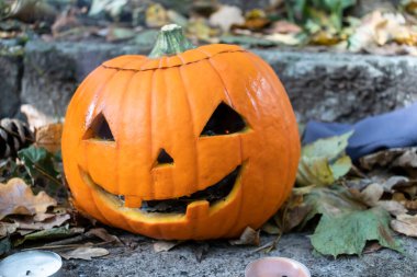 Cadılar Bayramı balkabağı. Basamaklarda yapraklarla.