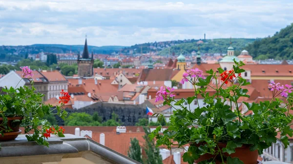 Квіти Горщиках Балконі Задньому Плані Червоних Дахів Празі Чехія — стокове фото