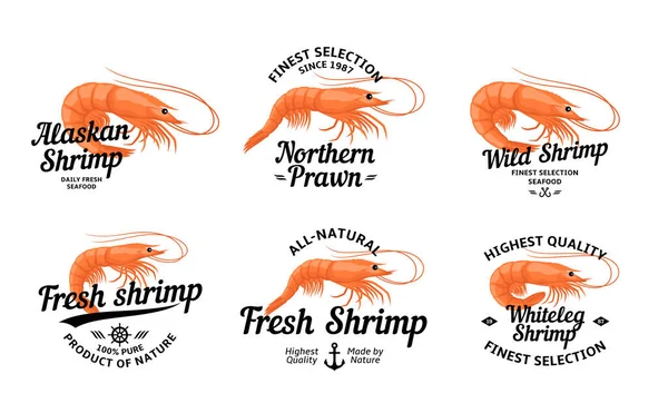 Logo Dan Elemen Desain Udang Vektor Templat Label Dan Ikon - Stok Vektor