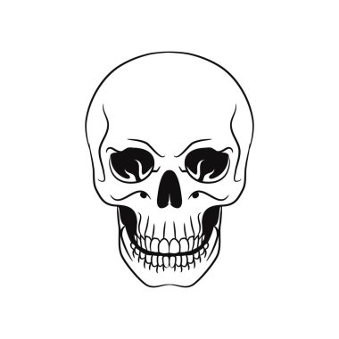 Grafik sanatı insan kafatası çizimi, siyah beyaz kafatası resmi.