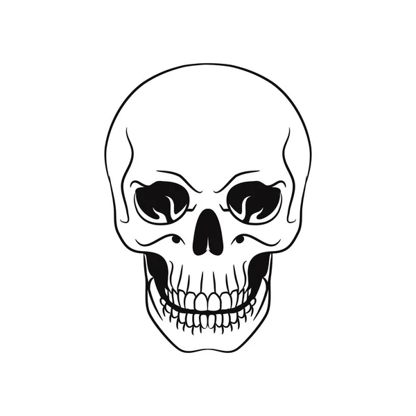 グラフィックアート人間の頭蓋骨のイラスト黒と白の頭蓋骨の画像 — ストックベクタ