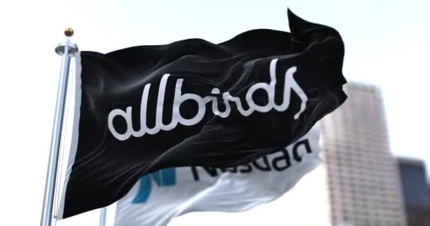 New York Abd Ekim 2021 Rüzgarda Uçuşan Allbird Nasdaq Bayrakları — Stok video