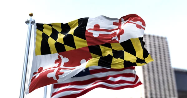 Die Flagge Des Bundesstaates Maryland Weht Wind Die Amerikanische Flagge — Stockfoto