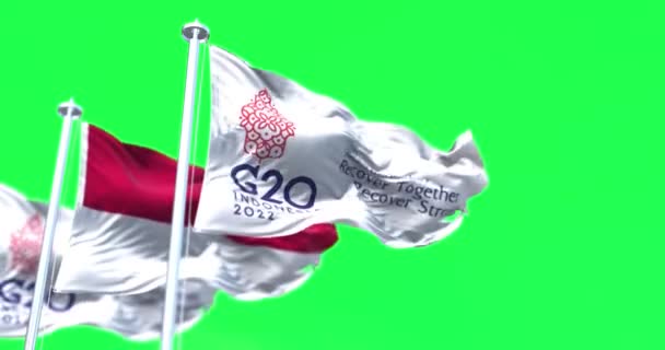 Bali Indonesia October 2021 Flag 2022 G20 Indonesia Flying Wind — Stock Video