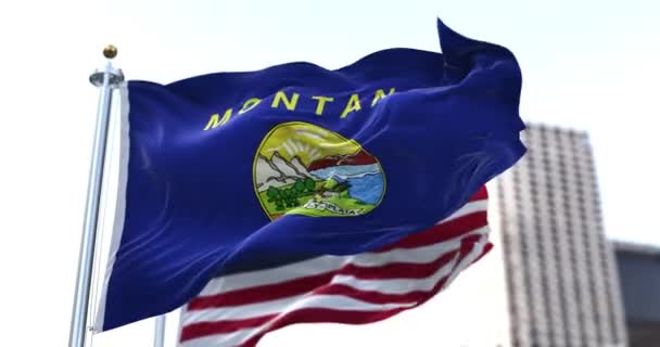 美国蒙大拿州的国旗在风中飘扬 美国国旗的背景模糊不清 1889年11月8日 蒙大拿州被接纳为联邦第41州 — 图库视频影像