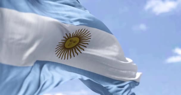 Dettagliato Primo Piano Della Bandiera Nazionale Argentina Sventola Nel Vento — Video Stock