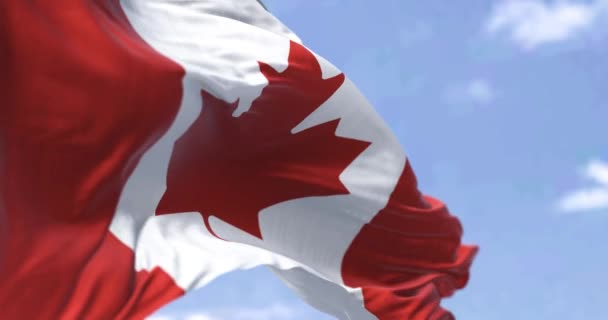 Detailed Close National Flag Canada Waving Wind Clear Day Democracy — ストック動画