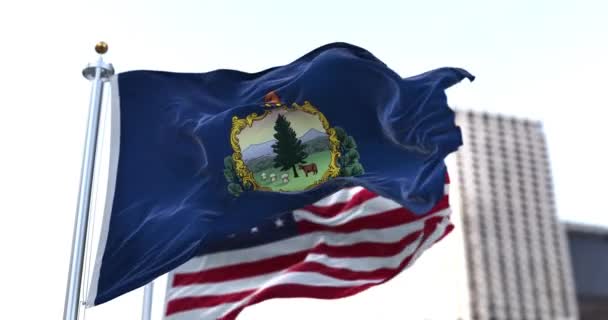 Flag State Vermont Waving Wind American Flag Blurred Background Vermont — ストック動画