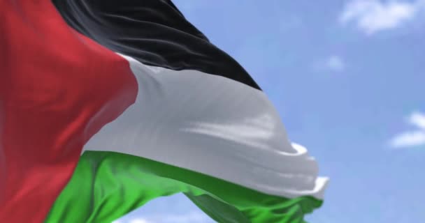 晴れた日には風になびくパレスチナ国旗の詳細 民主主義と政治 愛国心 選択的フォーカス シームレスなスローモーション — ストック動画