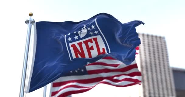 Inglewood Usa Januari 2022 Flaggan Med Nfl Logotypen Viftande Vinden — Stockvideo