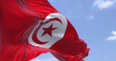 Açık bir günde rüzgarda dalgalanan Tunus ulusal bayrağının ayrıntıları. Demokrasi ve politika. Vatanseverlik. Kuzey Afrika 'daki Maghreb ülkesi. Seçici odaklanma. Kusursuz ağır çekim