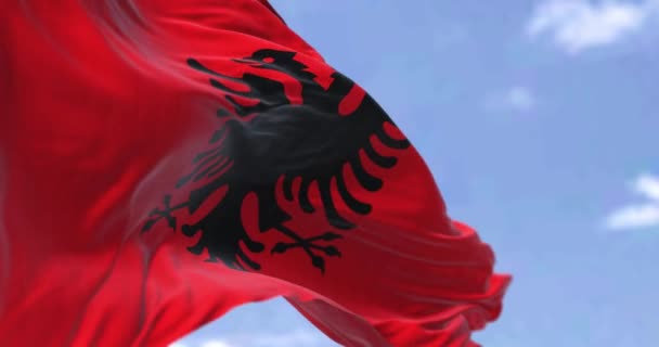 Detail Van Nationale Vlag Van Albanië Wapperend Wind Een Heldere — Stockvideo