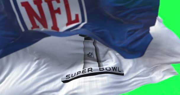 Inglewood Enero 2022 Bandera Con Logotipo Del Lvi Super Bowl — Vídeo de stock