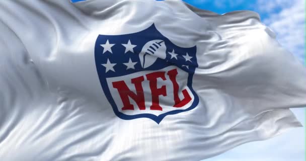 美国加利福尼亚州英格伍德 2022年1月 印有Nfl标志的国旗在风中飘扬 Nfl是一个职业美式足球联盟 — 图库视频影像