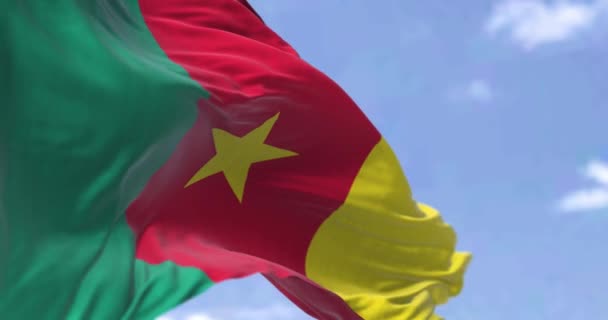晴れた日に風の中で手を振っカメルーンの国旗の詳細 民主主義と政治 愛国心 選択的フォーカス 西アフリカの国 シームレスなスローモーション — ストック動画