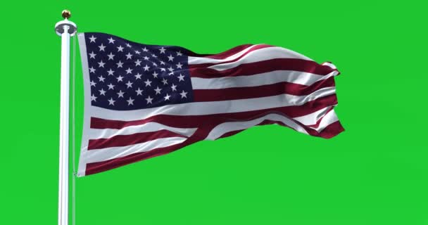 Крупный План Национального Флага Соединенных Штатов Америки Машущего Зеленом Фоне — стоковое видео