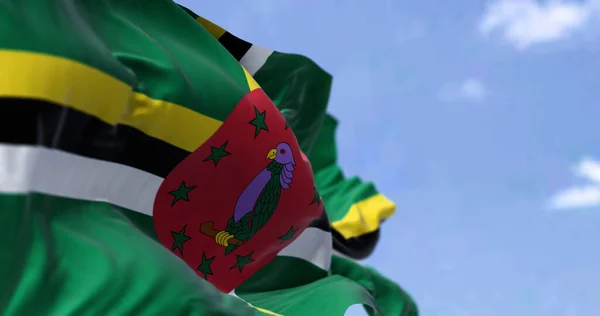 Detalhe Bandeira Nacional Dominica Acenando Vento Dia Claro Dominica País — Fotografia de Stock