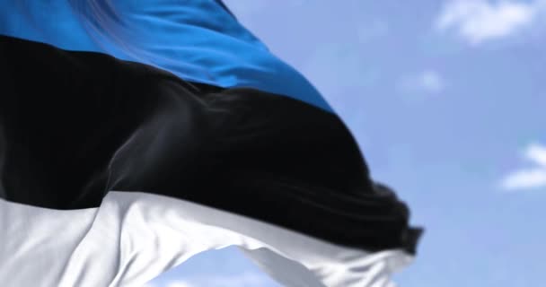 晴れた日に風になびくエストニア国旗の詳細 エストニアは北ヨーロッパの国です 選択的フォーカス スローモーションでシームレスにループ — ストック動画