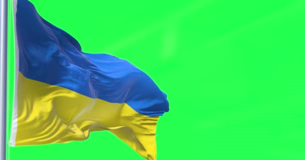 在风中飘扬的乌克兰国旗的细节被隔离在绿屏上 民主和政治 爱国心 有选择的重点 无缝圈慢动作 — 图库视频影像