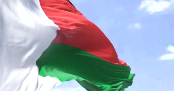 晴れた日に風に揺れるマダガスカルの国旗の詳細 マダガスカルはインド洋の島国です 選択的フォーカス スローモーションでシームレスにループ — ストック動画