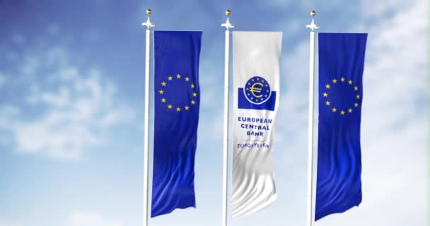 Frankfurt Alemania Febrero 2022 Banderas Europeas Ondeando Viento Con Bandera — Vídeos de Stock