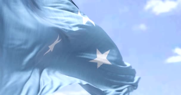 Λεπτομέρεια Της Εθνικής Σημαίας Της Μικρονησίας Κυματίζει Στον Άνεμο Μια — Αρχείο Βίντεο