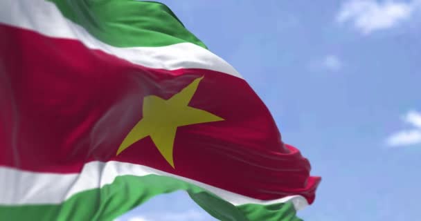 Dettaglio Della Bandiera Nazionale Del Suriname Che Sventola Nel Vento — Video Stock